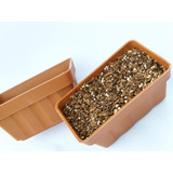 Mini Jardineira Floreira - Cor Terracota - Kit Com 20 Unid.