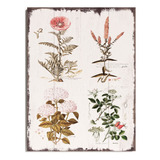 Barnyard Designs Placa De Madera Botanica De Flores Vintage,