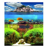 Painel Aquario 100cm X 60cm Dupla Face Enfeite Planta Rocha