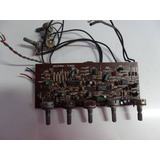 Placa Amplificador Ciclotron Pl-202a