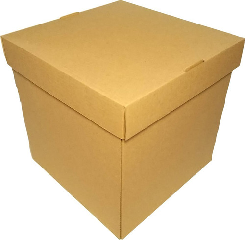 Caja Con Tapa 20x20 #3 X 5 Unidades