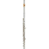Yamaha Yfl-462 Flauta Intermedia Offset G Pie B, Placa Labia