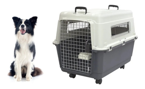 Jaula Transportadora Grande Petmate - Pet Taxi Kennel