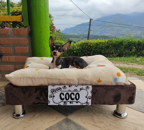 Base Cama + Colchón Para Perros !!!  Pequeña 
