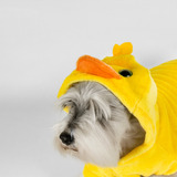 Disfraz De Pato Para Mascotas Talla Xs - S