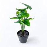 Plantas Artificiales Para El Hogar Decorativas Con Maceta