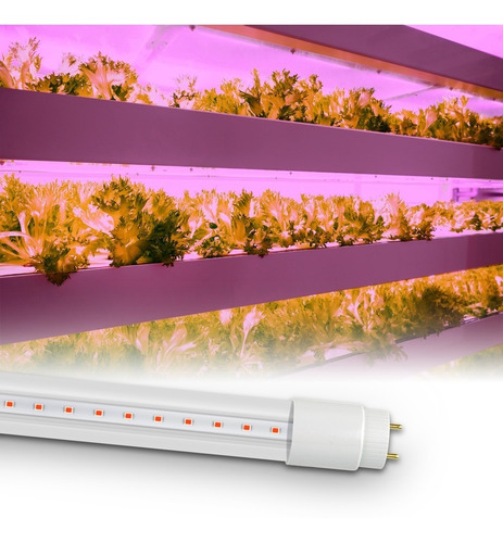 Tubo Led Cultivo Growing Indoor 10w 60cm 220v Floracion Color De La Luz Rojo