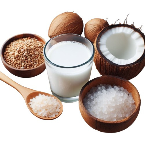 Kefir De Leite De Coco Leite Vegetal Com Frete Gratis Manual