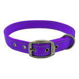 Max Y Neo Max Metal Reflective Metal Buckle Dog Collar: Dona