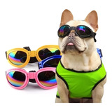 Gafas Tornasol Mascotas Viajes - Unidad a $29900