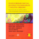 Inseguridad Social, Jovenes Vulnerables Y Delito Urbano - Vv