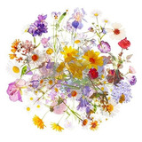 Conjunto De 120 Pegatinas Florales Transparentes Para