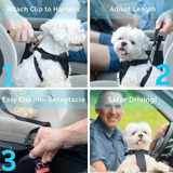 Cinturón De Seguridad Para Perro, Perro, Gato, Cinturón De S