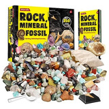 Coleccion De 250 Rocas Fósiles Y Minerales Regalo Para Niños