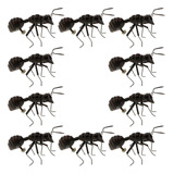 10pcs Ant Wall Sculpture Ornament . .