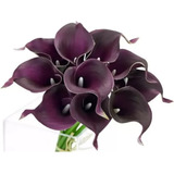 Bulbos De Alcatraz Calla Lily Color Púrpura