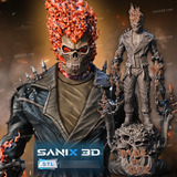 Archivo Stl Impresión 3d - Ghost Rider + Bust - Sanix