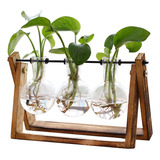 Terrario For Plantas Con Soporte De Madera, Macetero De