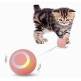 Pelota De Juguetes Gato Perro Automática Interactiva Usb