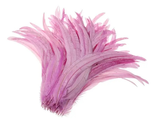 30 Plumas Gallo Natural Diferentes Color Decoración 25-30cm