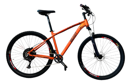 Bicicleta Montaña Rodada 29 10 Vel Beast Mtb Frenos De Disco