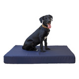 Cama Colchoneta Para Perros Lola Pets Antidesgarro 75x50 Cm