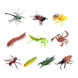 Figuras De Modelo De Insectos Realistas De 10 Piezas