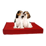 Colchoneta Perro Gato Placa Espuma 90x60x10 G Y G Fiaca