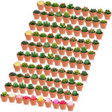 102 Velas Suculentas De Cactus Con Maceta De Terracota, Mini