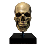 Cráneo Fc - Escala 1.2 (escultura)