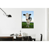 Cuadro Canvas Vaca Animales Campo Pasto Funny M4