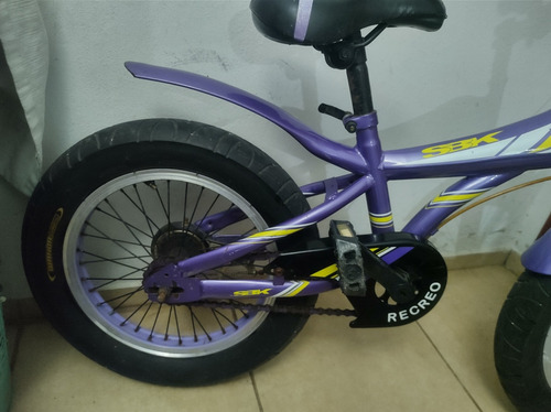 Bicicleta Ruedas Anchas Rodado 16