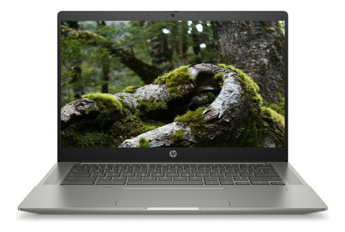 Notebook Hp Amd Ryzen 3 3250c 128gb Ssd 4gb Chrome Os