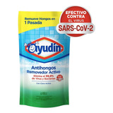 Limpiador Liquido Ayudin Antihongo Doypack 450ml Pack X2