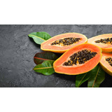 Abono Para La Producción De Papaya
