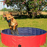 Piscina Plegable Para Perros (m) 120x30 Cm.