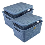 Caja Organizadora Multiusos Rattan Con Tapa Paquete De 2