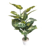 Planta Artificial Decorativa Caladium Verde-blanco De 50cm