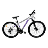 Bicicleta Fire Bird Rodado 29 21 Velocidad Frenos A Discos 