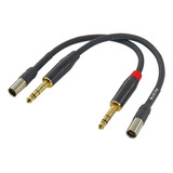 Wjstn Cable Mini Xlr, Conector Trs A Mini Xlr Macho De 3 Pin