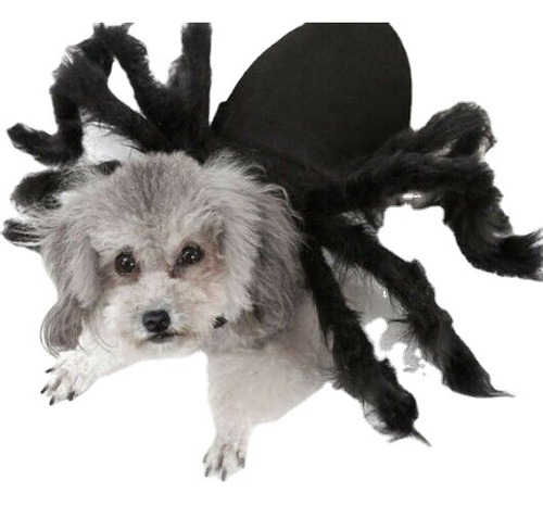 Halloween Pet Transformation Spider Costume Spooky Costume