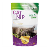 Hierba Para Gatos Catnip Para Juguetes Y Rascadores De Gato