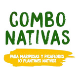  Combo De Nativas Para Mariposas Y Picaflores