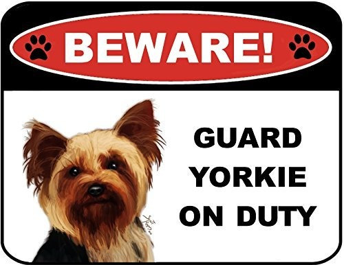 Pcscp Cuidado Guardia Yorkie En Servicio (v1) De 9 Pulgadas 