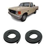 Ford F-100 Burletes Puertas    Rapinese Xxy