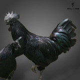 12 Ovos Galados De Ayam Cemani + 3 De Brinde