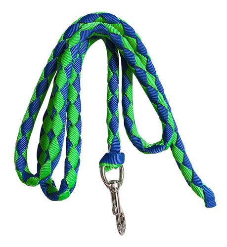 Correas De Cuerda De Plomo Para Caballos 2,5 M Verde Y Azul