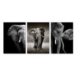 Kit 3 Quadros Decorativos Sala Chique Elefantes Premium