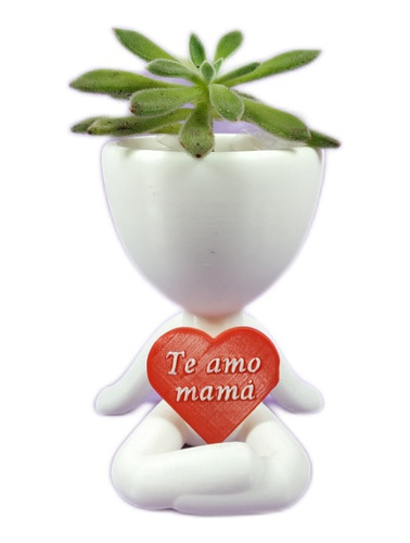 Matera Con Mensaje Personalizable Y Planta, Amor Y Amistad