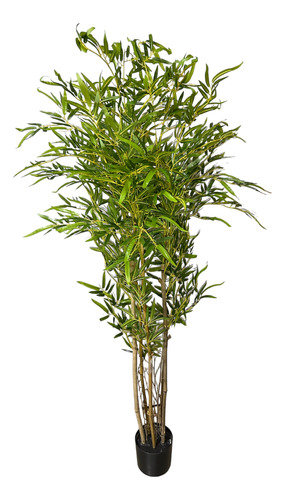 Bambu Mossô Artificial Tronco Natural 150cm Com Vaso Apoio